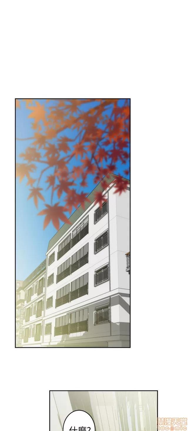 爱上男闺蜜 H-Mate 7 第290页