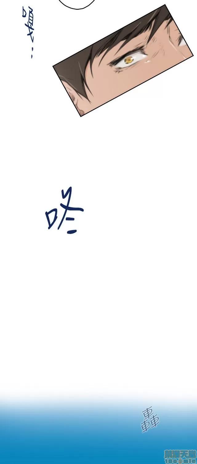 爱上男闺蜜 H-Mate 10 第295页