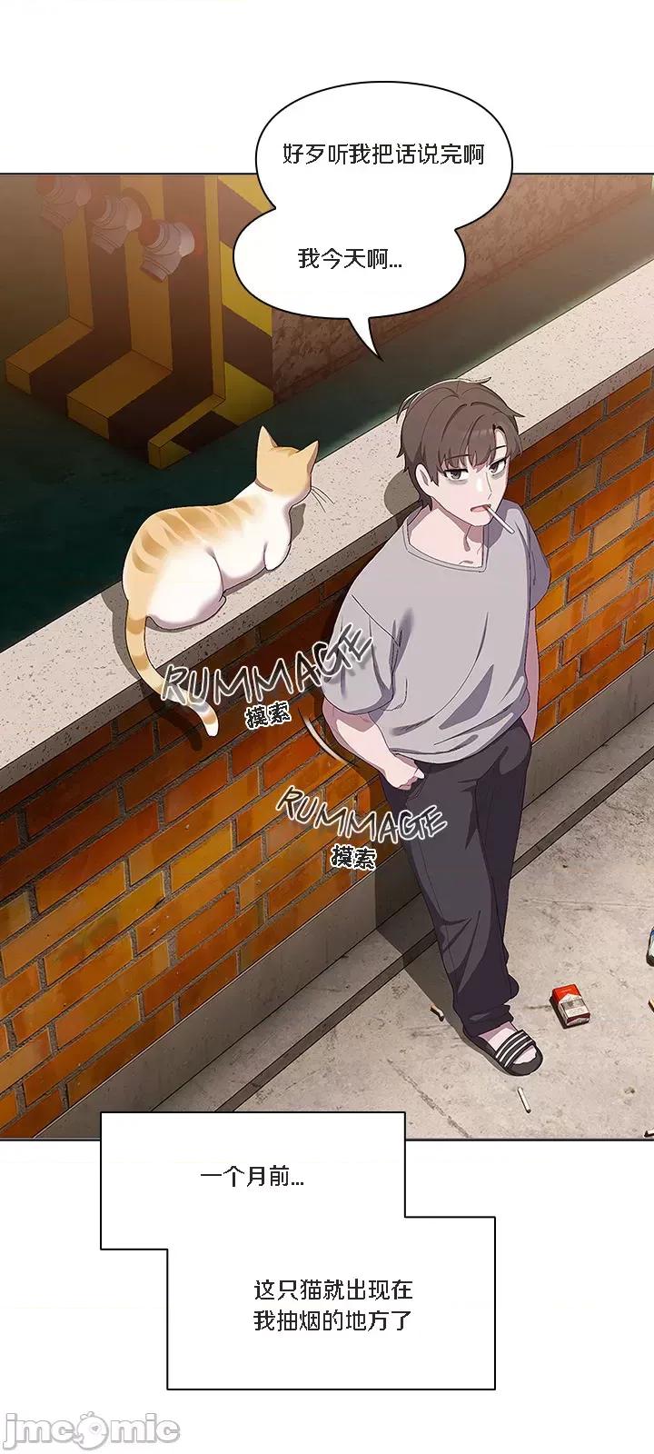 猫猫牵红线 [木云汉化组] 猫猫牵红线/喵来的恋爱/喵来的恋爱 第20页