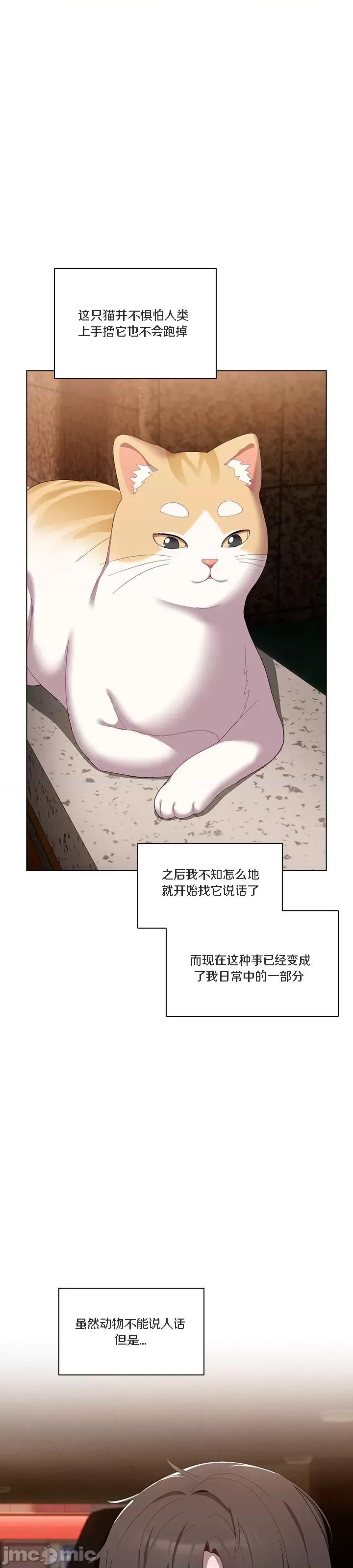 猫猫牵红线 [木云汉化组] 猫猫牵红线/喵来的恋爱/喵来的恋爱 第21页