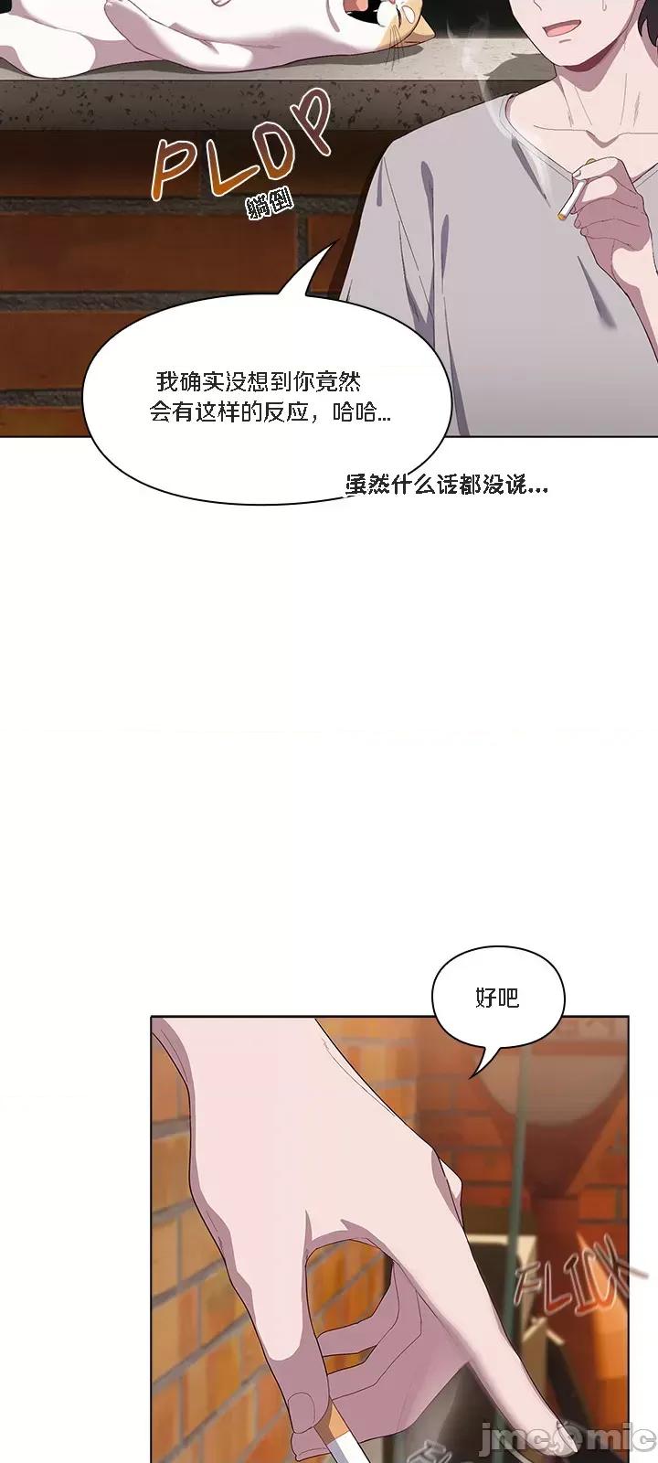 猫猫牵红线 [木云汉化组] 猫猫牵红线/喵来的恋爱/喵来的恋爱 第28页