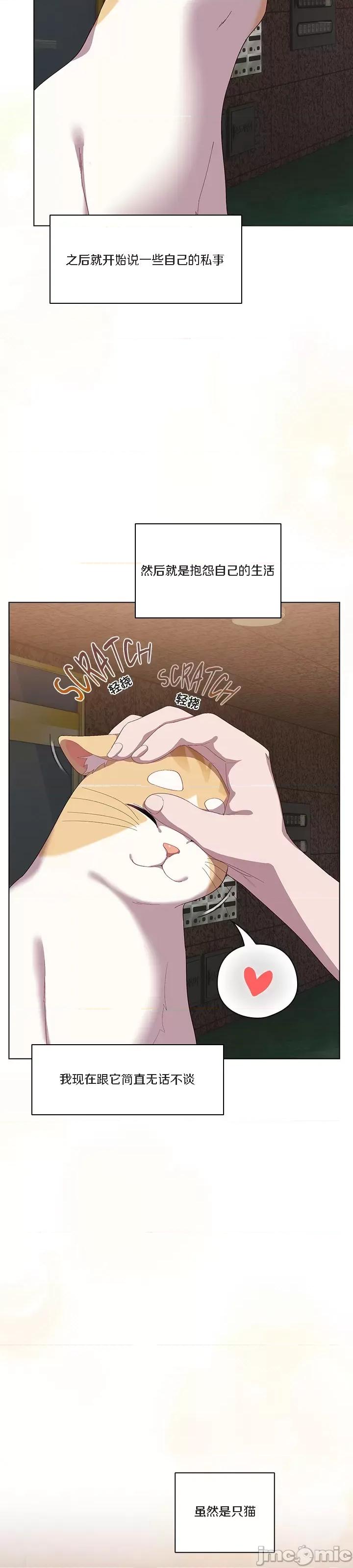 猫猫牵红线 [木云汉化组] 猫猫牵红线/喵来的恋爱/喵来的恋爱 第30页