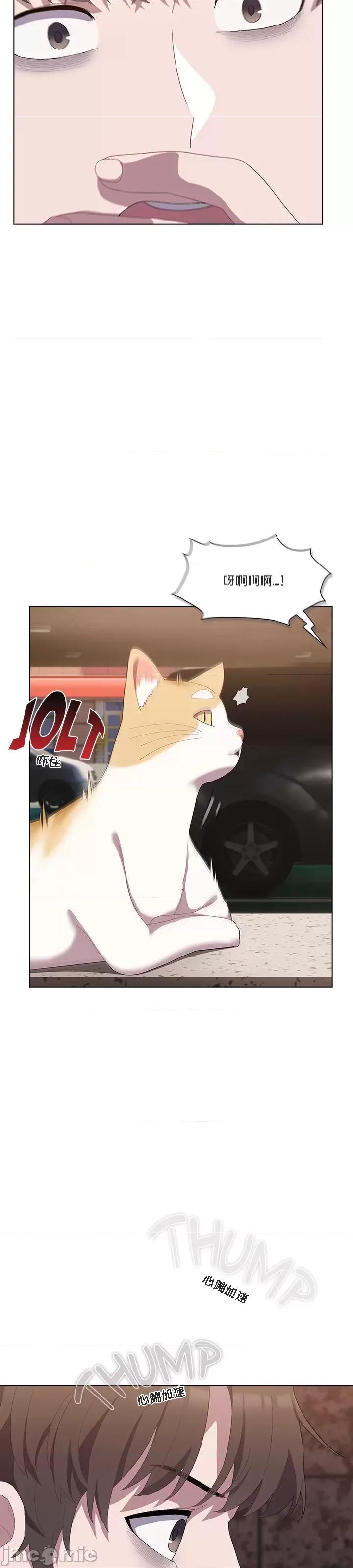 猫猫牵红线 [木云汉化组] 猫猫牵红线/喵来的恋爱/喵来的恋爱 第35页