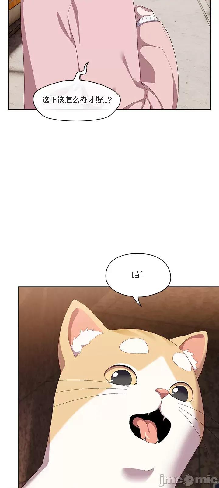 猫猫牵红线 [木云汉化组] 猫猫牵红线/喵来的恋爱/喵来的恋爱 第44页