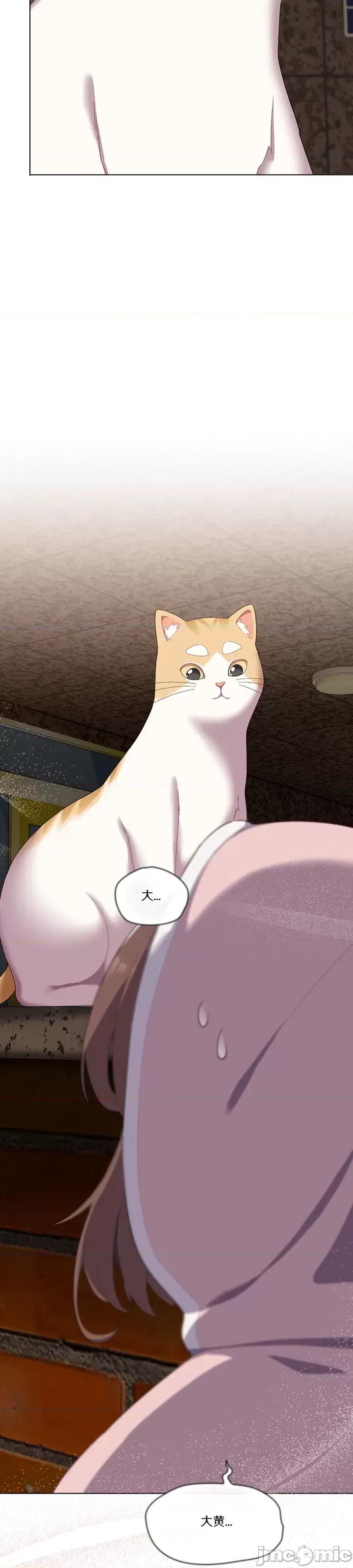 猫猫牵红线 [木云汉化组] 猫猫牵红线/喵来的恋爱/喵来的恋爱 第45页