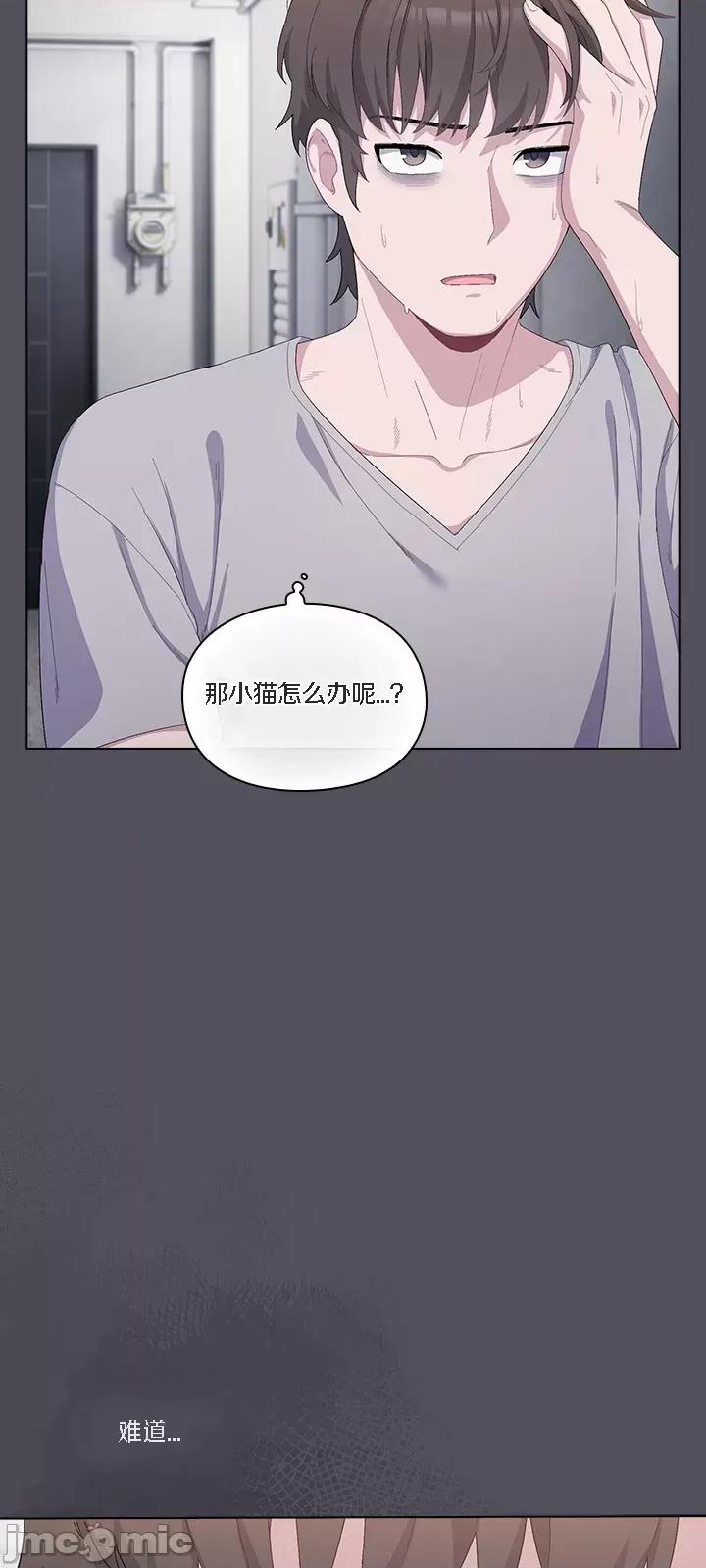 猫猫牵红线 [木云汉化组] 猫猫牵红线/喵来的恋爱/喵来的恋爱 第48页