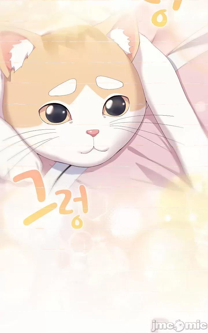 猫猫牵红线 猫猫牵红线[木云汉化组]2 第4页