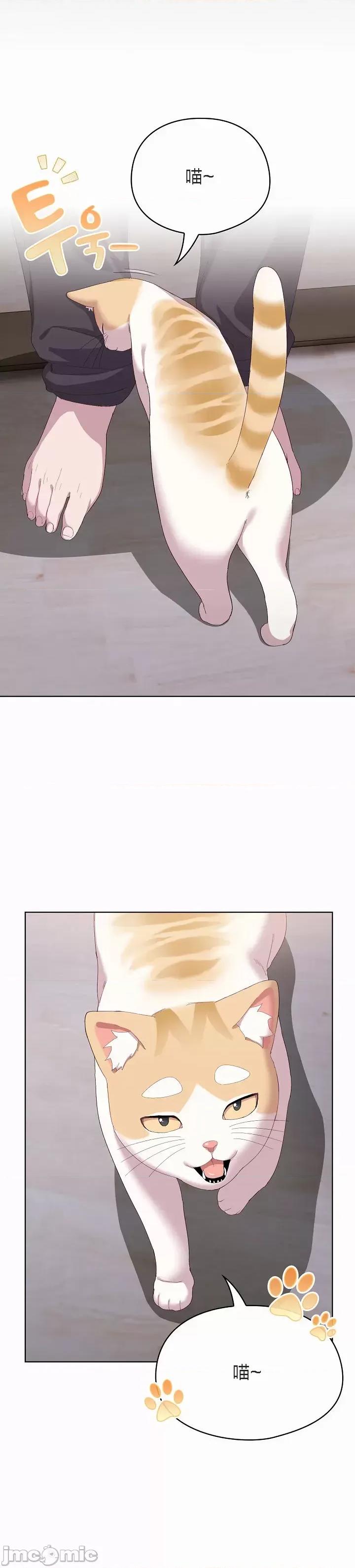 猫猫牵红线 猫猫牵红线[木云汉化组]2 第35页