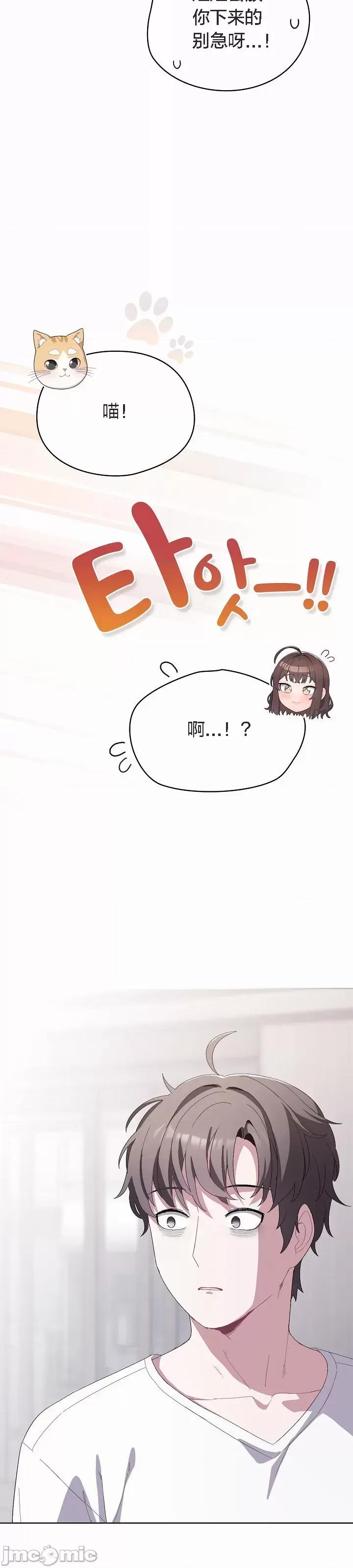 猫猫牵红线 猫猫牵红线[木云汉化组]2 第52页