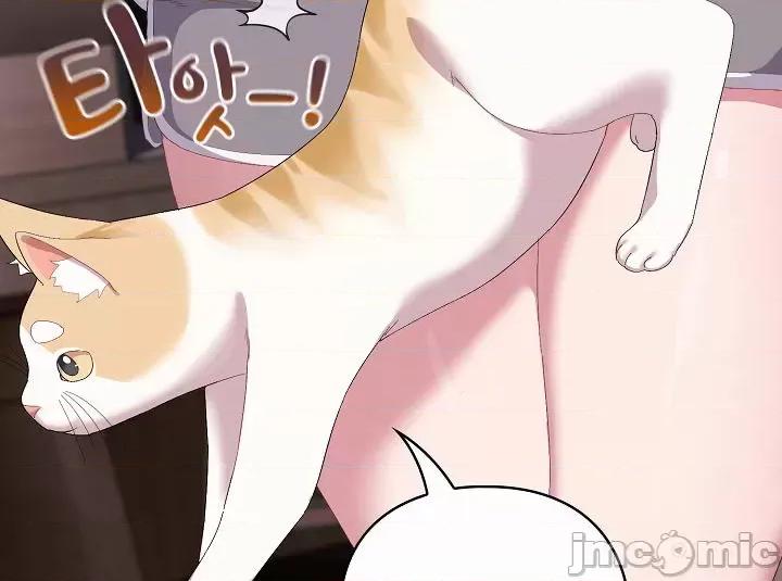 猫猫牵红线 猫猫牵红线[木云汉化组]2 第56页