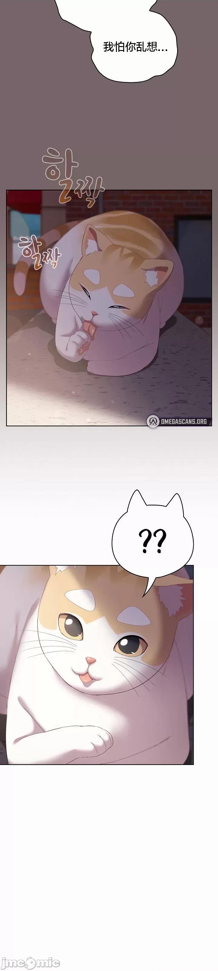 猫猫牵红线 猫猫牵红线[木云汉化组]3 第36页