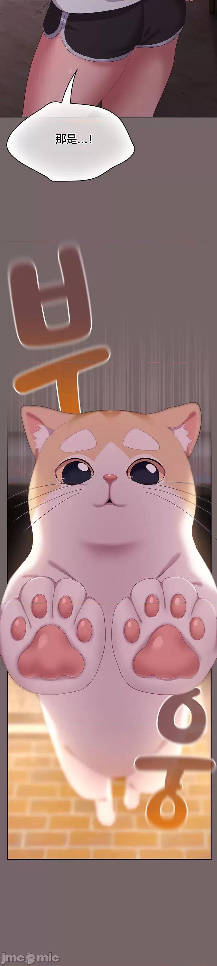 猫猫牵红线 猫猫牵红线[木云汉化组]3 第43页