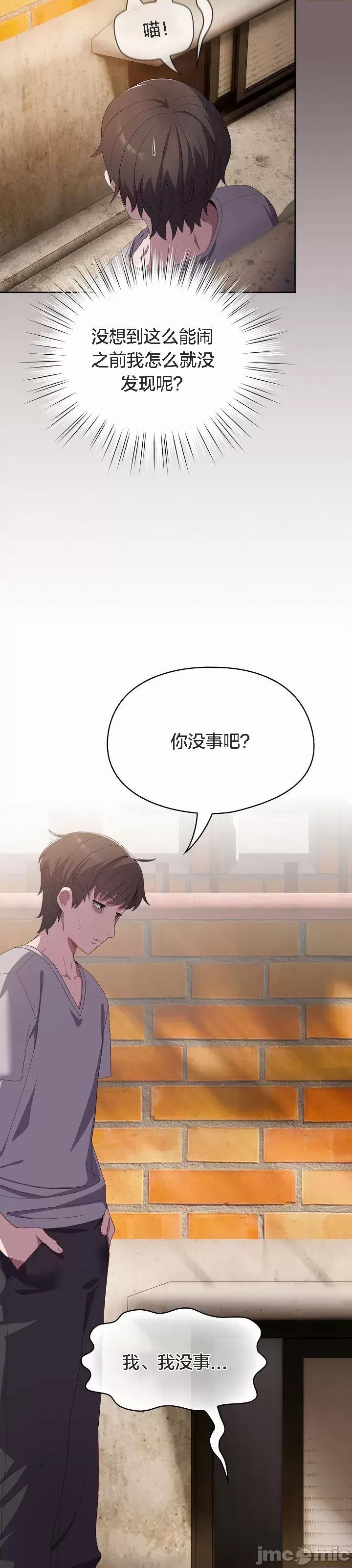 猫猫牵红线 猫猫牵红线[木云汉化组]3 第46页