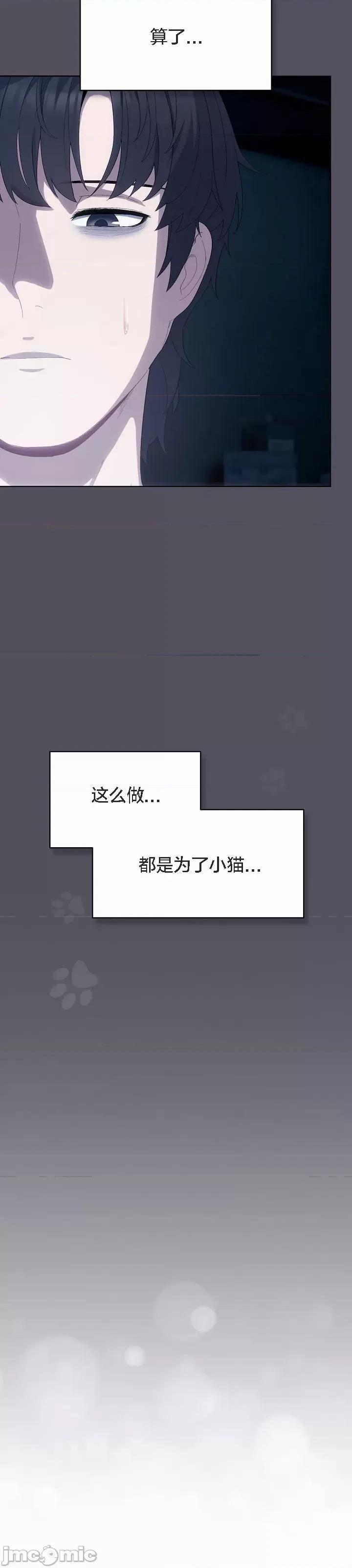 猫猫牵红线 猫猫牵红线[木云汉化组]3 第54页