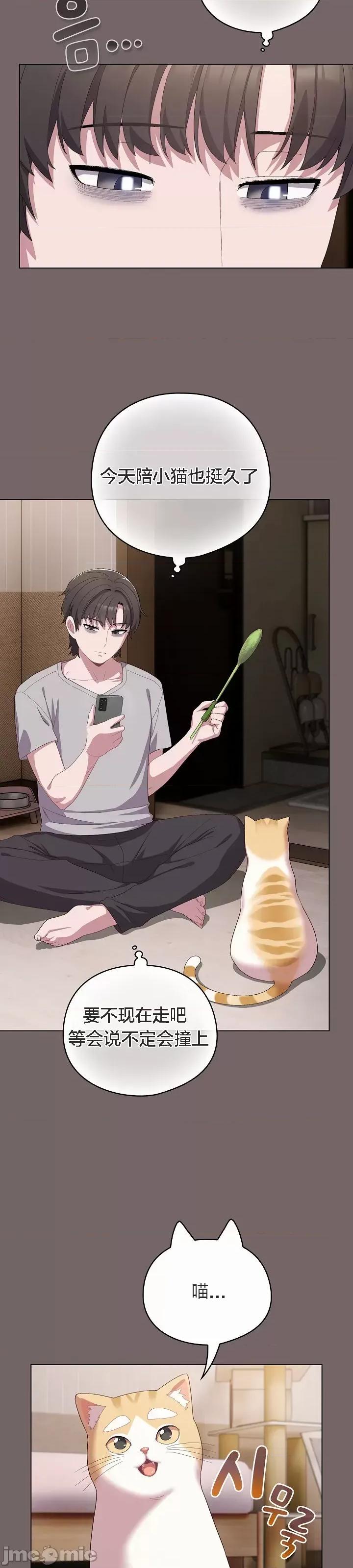 猫猫牵红线 猫猫牵红线[木云汉化组]4 第51页
