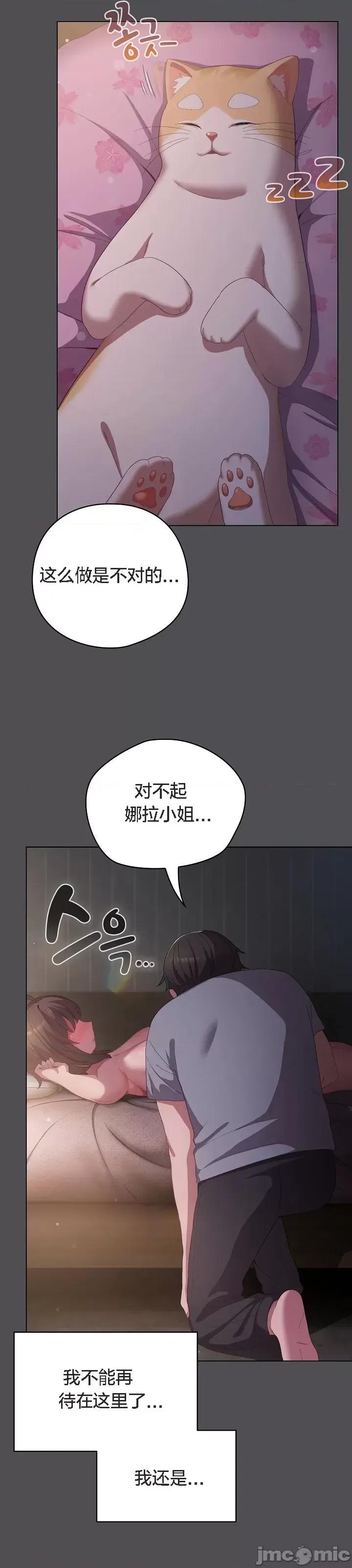 猫猫牵红线 猫猫牵红线[木云汉化组]5 第53页
