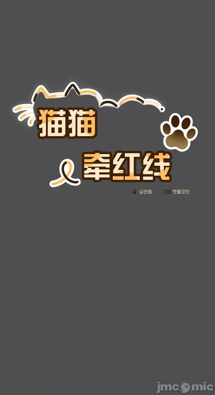 猫猫牵红线 猫猫牵红线[木云汉化组]6 第6页