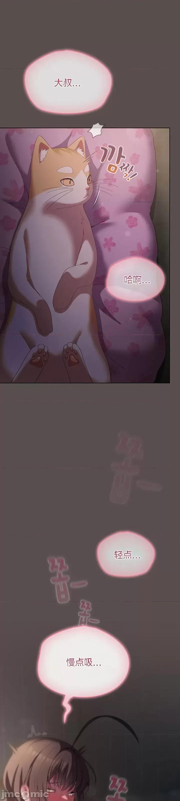 猫猫牵红线 猫猫牵红线[木云汉化组]6 第46页
