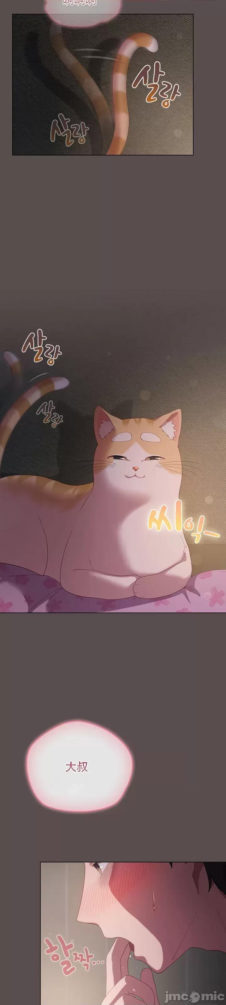猫猫牵红线 猫猫牵红线[木云汉化组]7 第2页