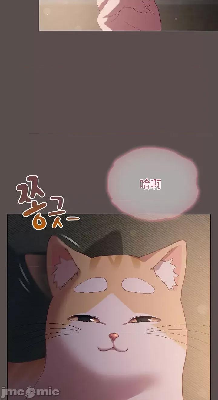 猫猫牵红线 猫猫牵红线[木云汉化组]7 第3页