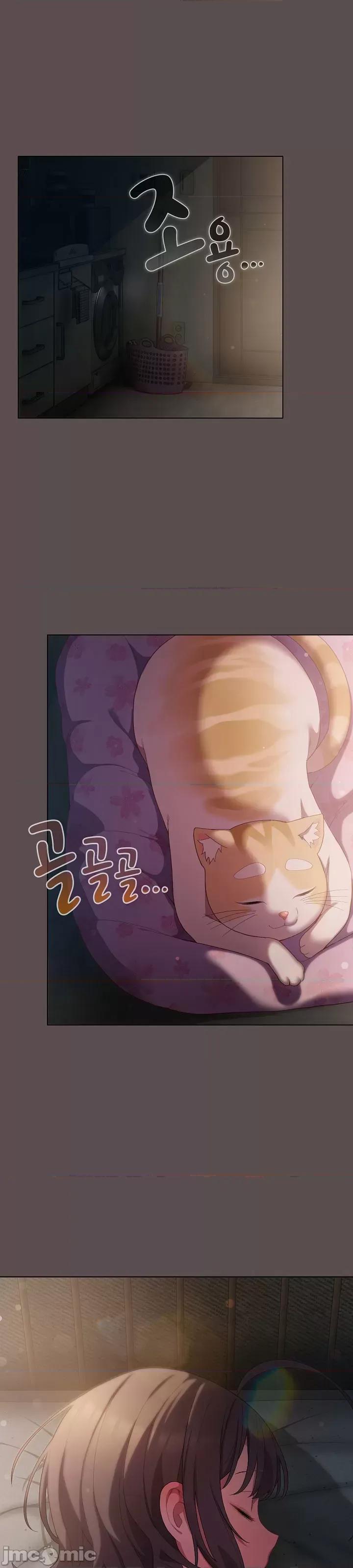 猫猫牵红线 猫猫牵红线[木云汉化组] 第36页