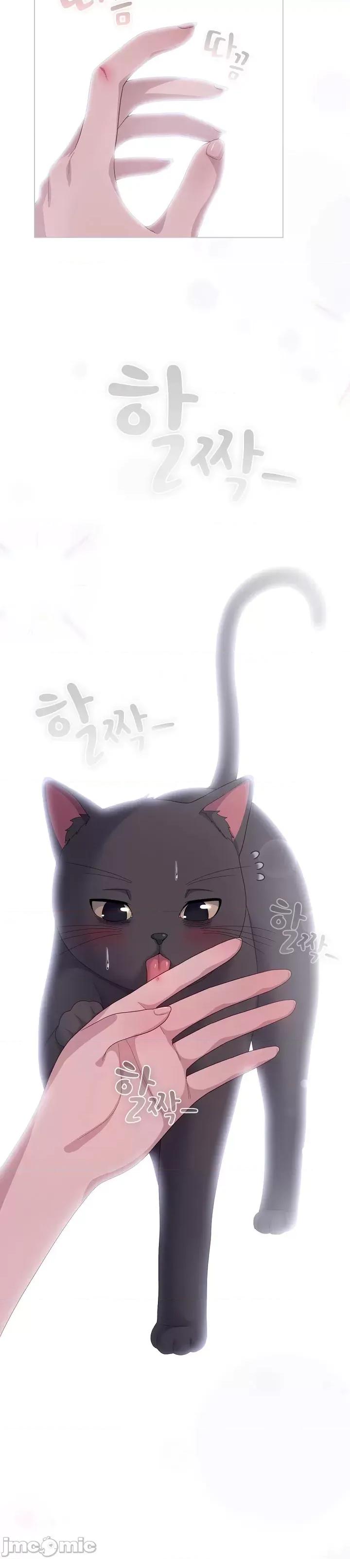 猫猫牵红线 014猫猫牵红线[木云汉化组] 第17页