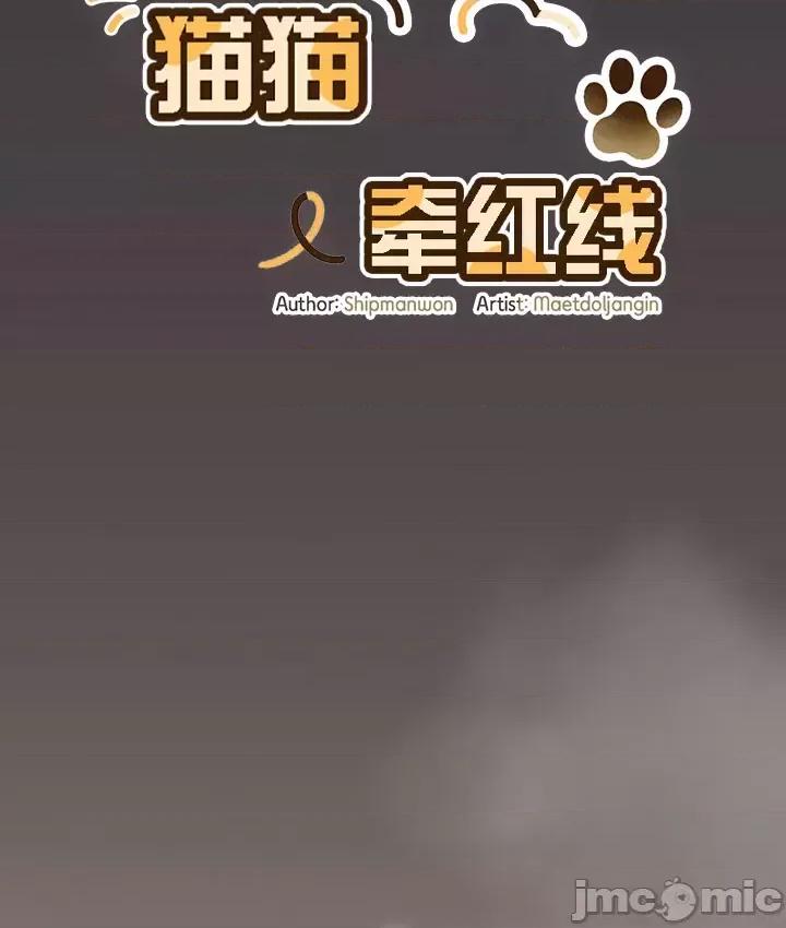猫猫牵红线 014猫猫牵红线[木云汉化组] 第28页