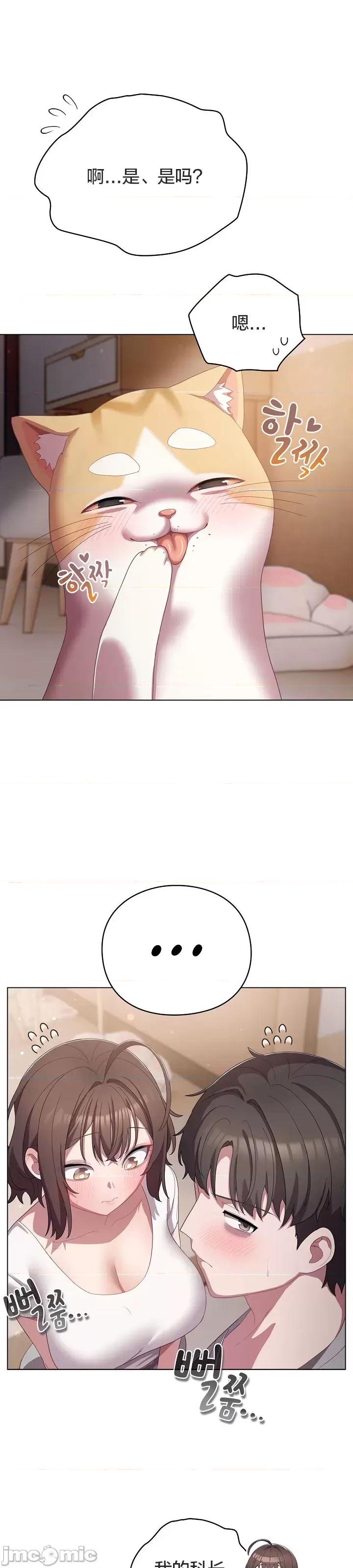 猫猫牵红线 018猫猫牵红线[木云汉化组] 第17页