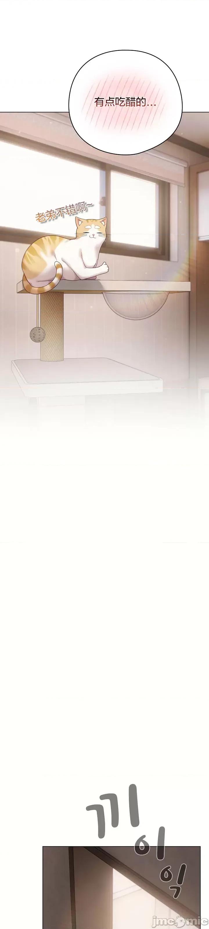 猫猫牵红线 018猫猫牵红线[木云汉化组] 第22页