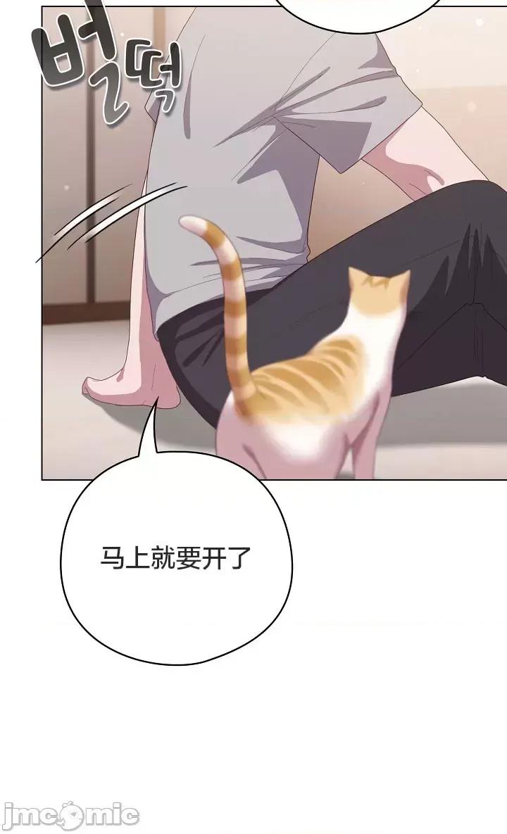 猫猫牵红线 018猫猫牵红线[木云汉化组] 第34页