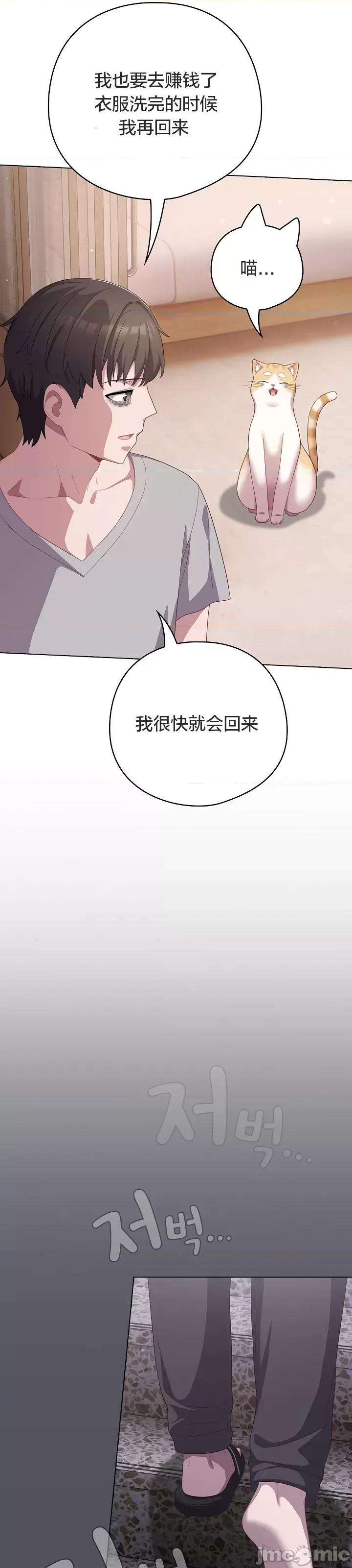 猫猫牵红线 018猫猫牵红线[木云汉化组] 第35页