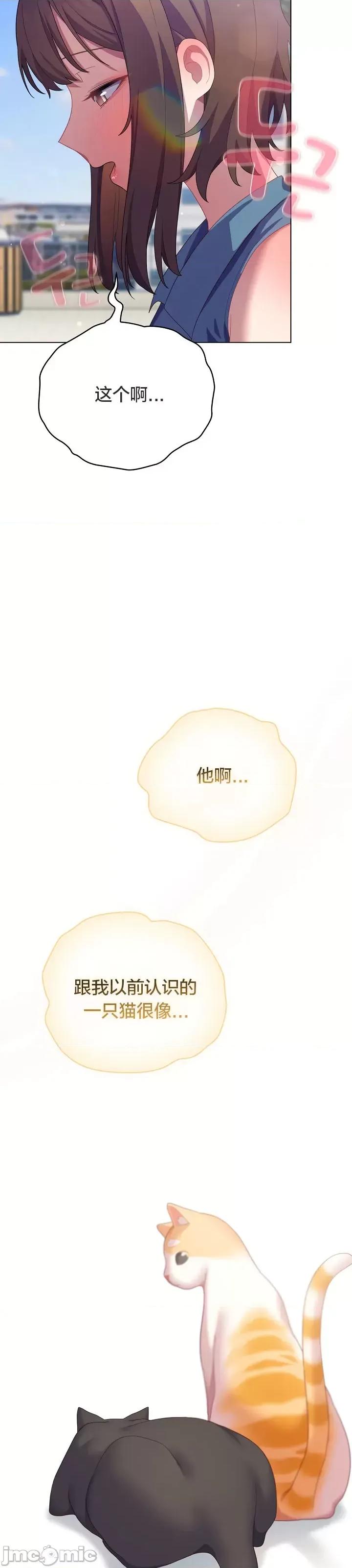 猫猫牵红线 019猫猫牵红线[木云汉化组] 第18页