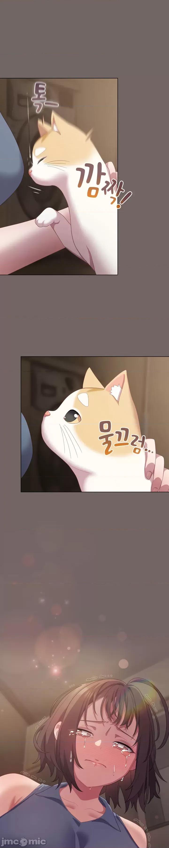 猫猫牵红线 020猫猫牵红线[木云汉化组] 第36页