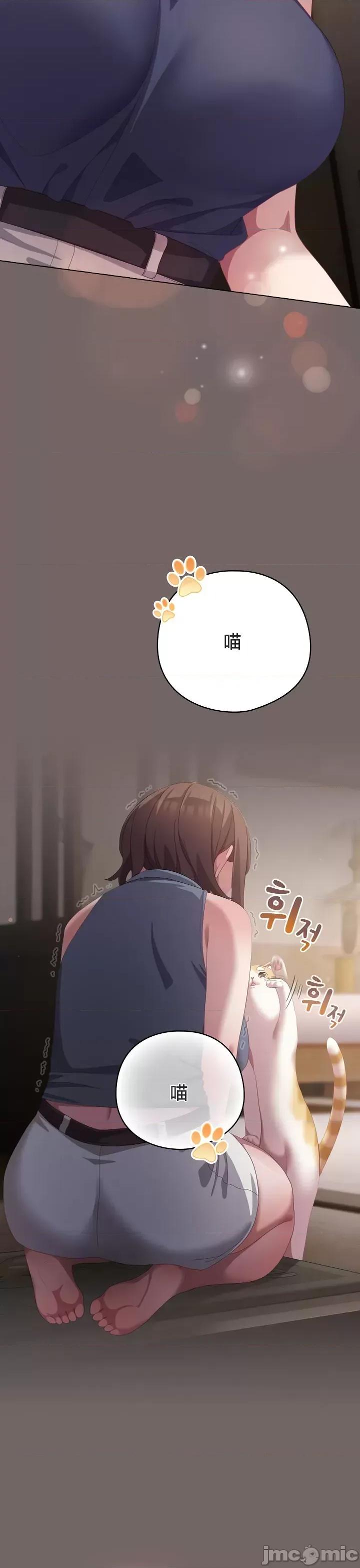 猫猫牵红线 020猫猫牵红线[木云汉化组] 第37页