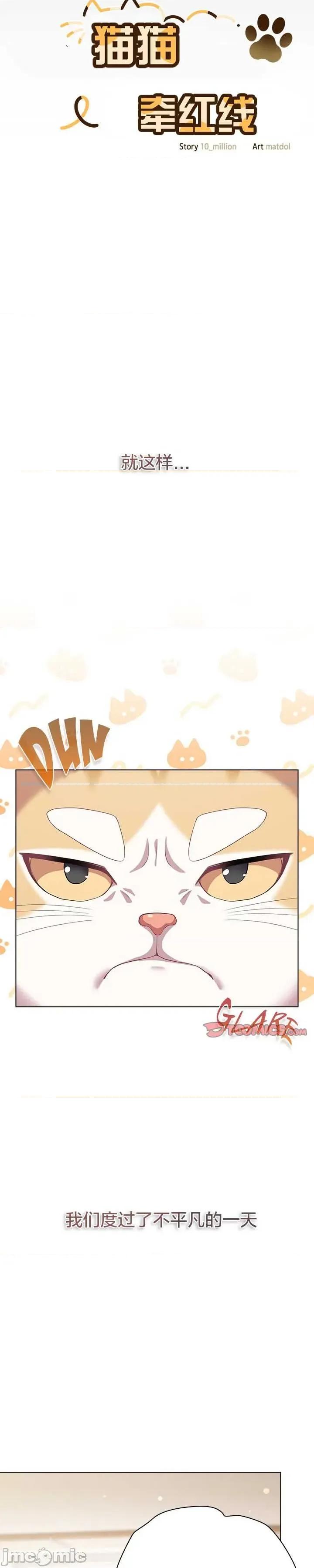 猫猫牵红线 033猫猫牵红线[木云汉化组] 第17页