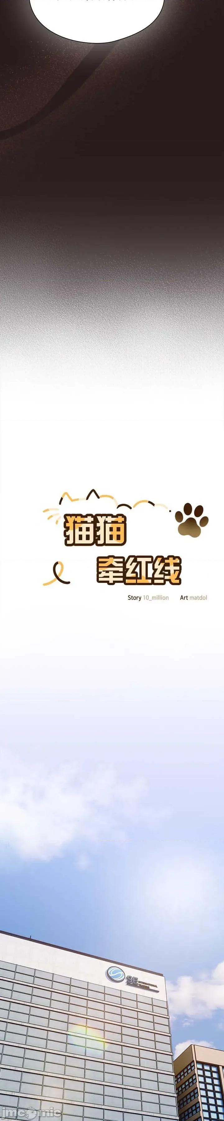 猫猫牵红线 034猫猫牵红线[木云汉化组] 第11页