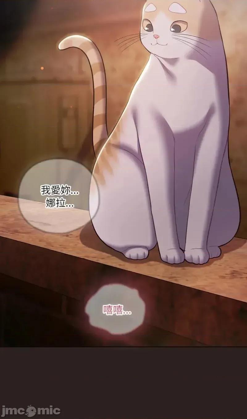 猫猫牵红线 猫猫牵红线 第54页