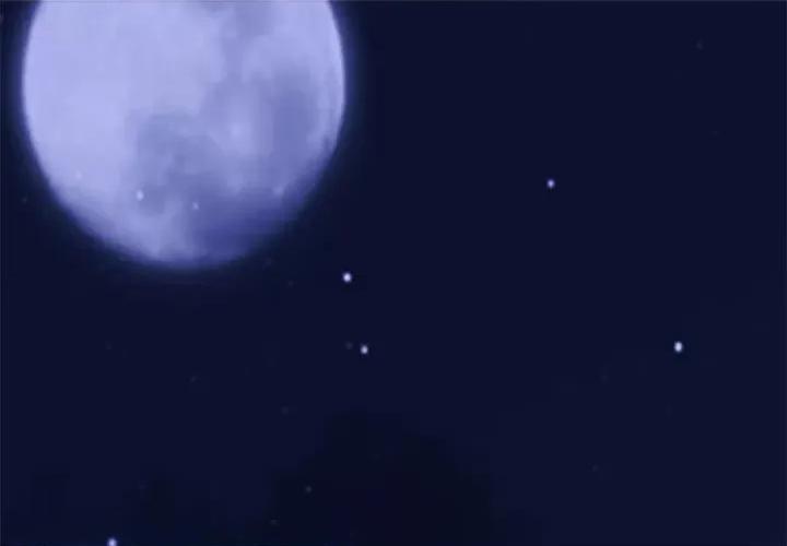 女教授的秘密 心机女教授-第 155 话 第1页