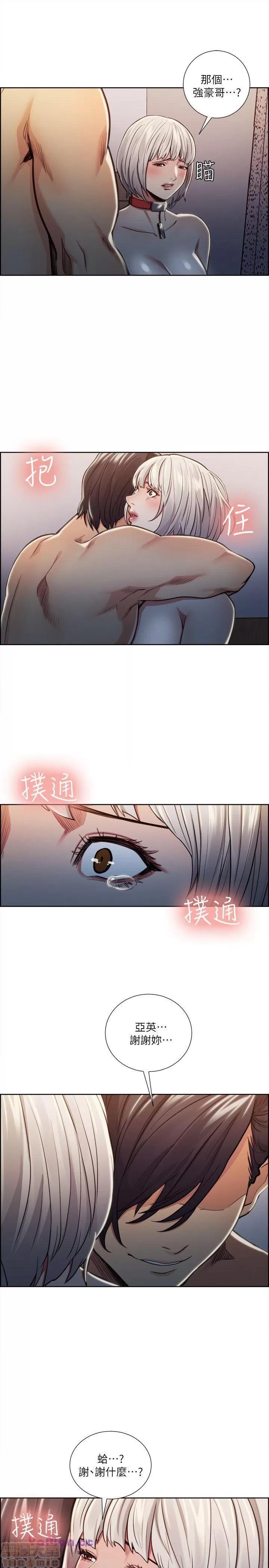夺爱的滋味 夺爱的滋味 11-20 第219页