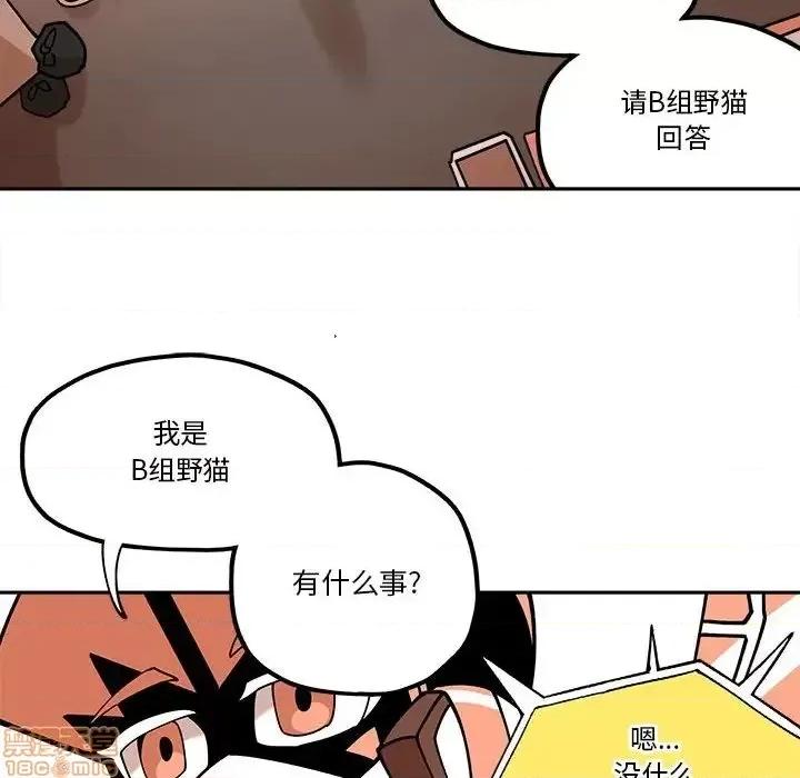 钢铁机械新娘 钢铁机械新娘 28 第22页