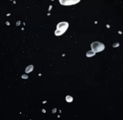 深海兽 深海兽 | 第42章 第68页