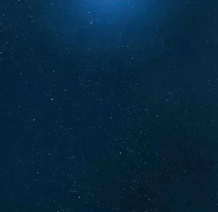 深海兽 深海兽第 153 话 第87页