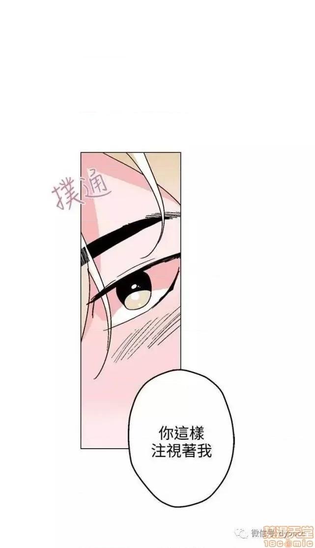 灰姑娘的哥哥们 灰姑娘的哥哥们 26-30 第93页