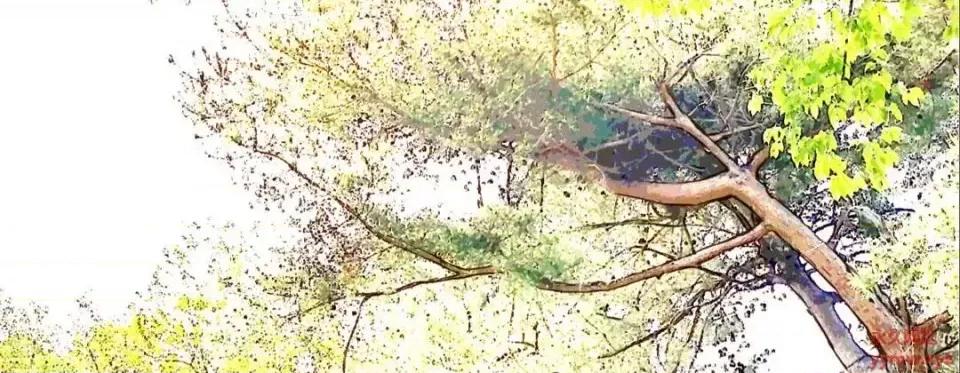 特殊基因少女 特殊基因少女-第 34 话 第158页
