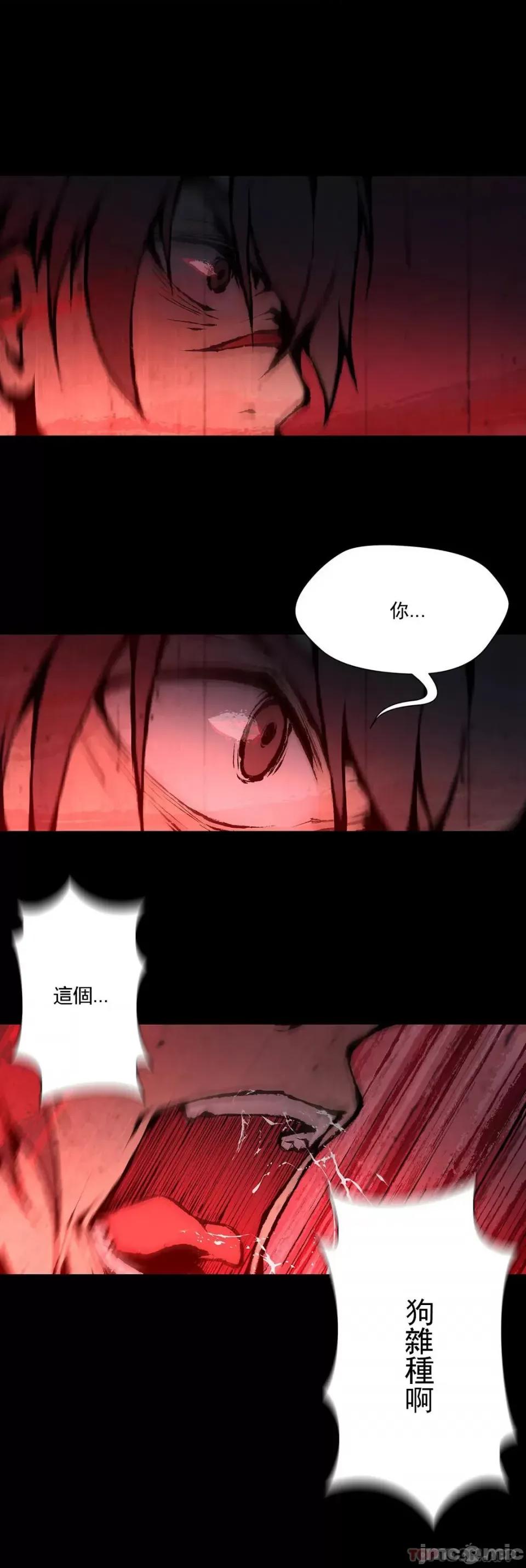 奴隶双生子 奴隶 第94话 第13页