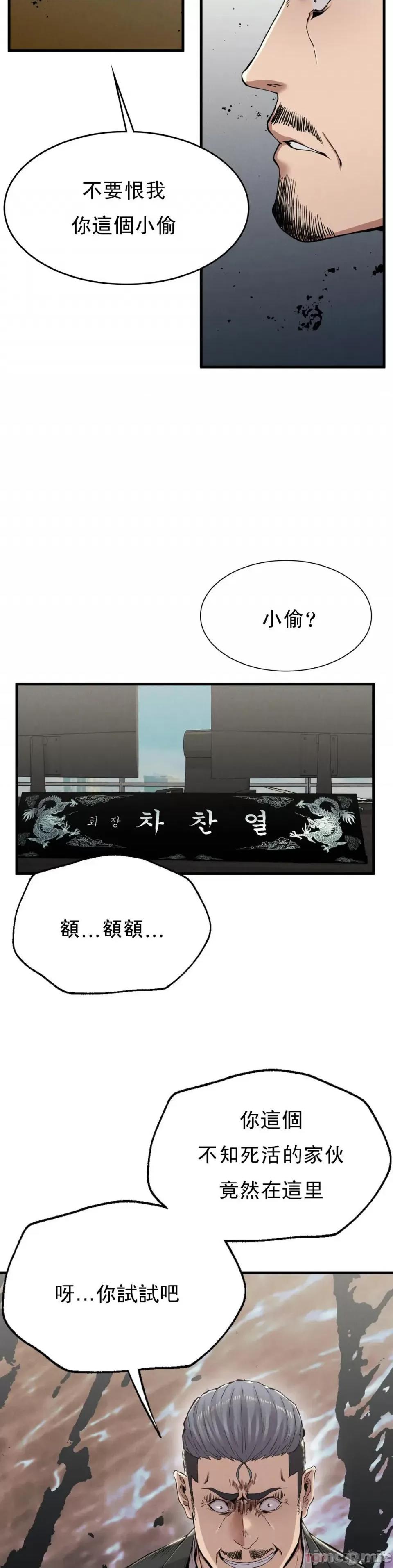 復仇 復仇11 第24页