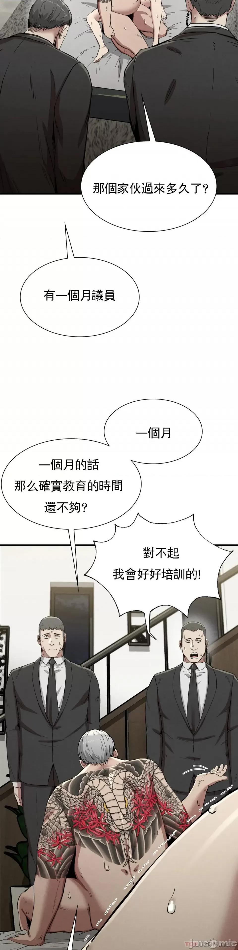 復仇 復仇 12 第29页