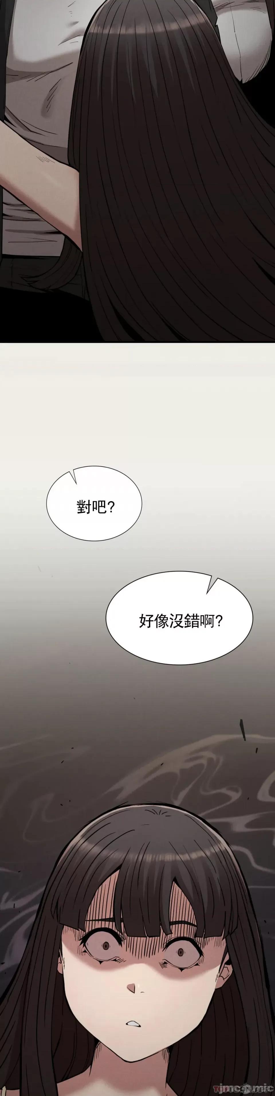 復仇 復仇 28 第29页