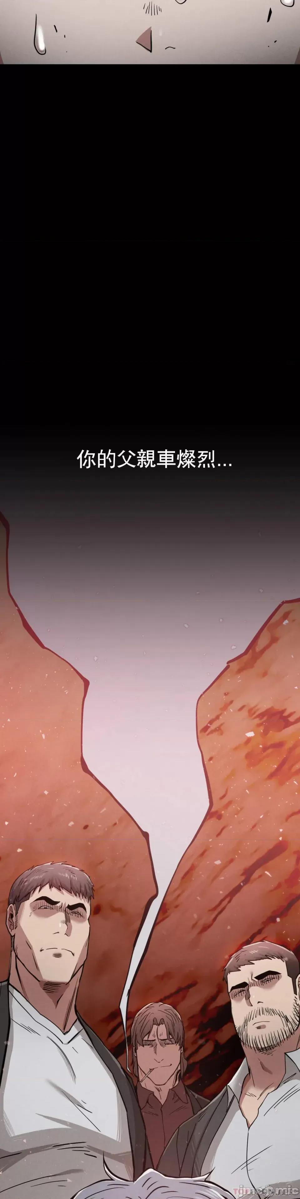 復仇 復仇 28 第41页