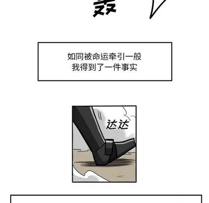 马基什的疯狂邻居 惊奇百怪来惹吧 | 第4章 第39页